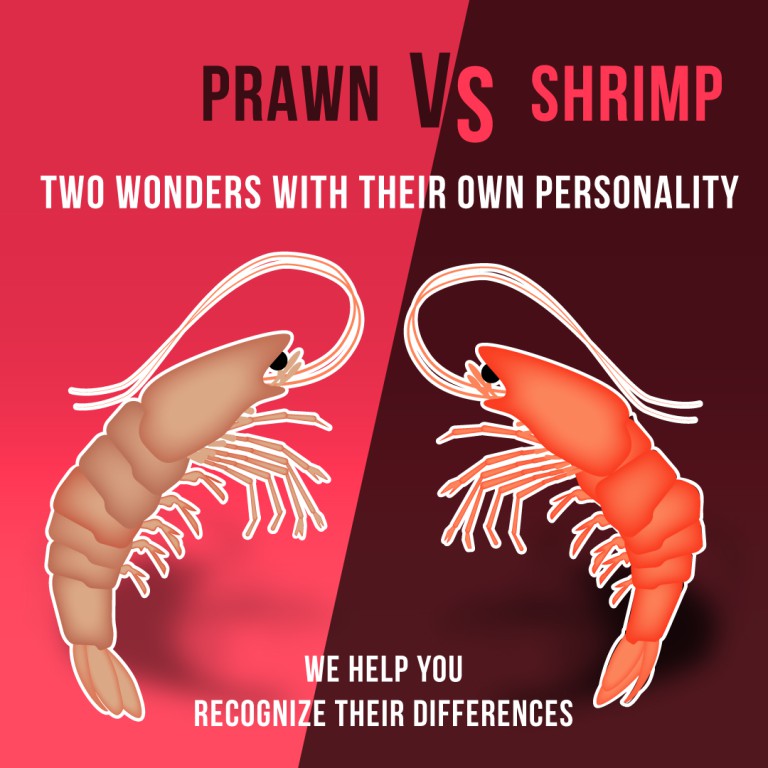 Prawn VS Schrimps